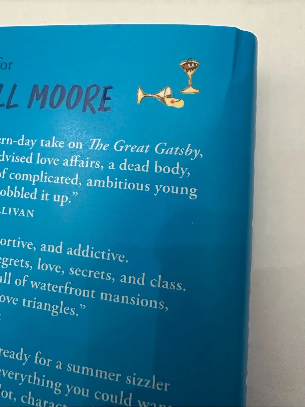 Mansion Beach by Meg Mitchell Moore Hardcover BookTok Book Summer Romance